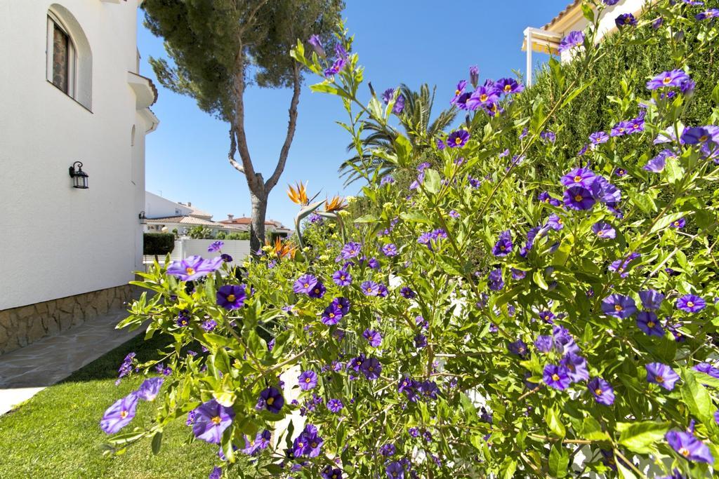 Arenda Pino Alto Villa Gallo Miami Playa Rum bild